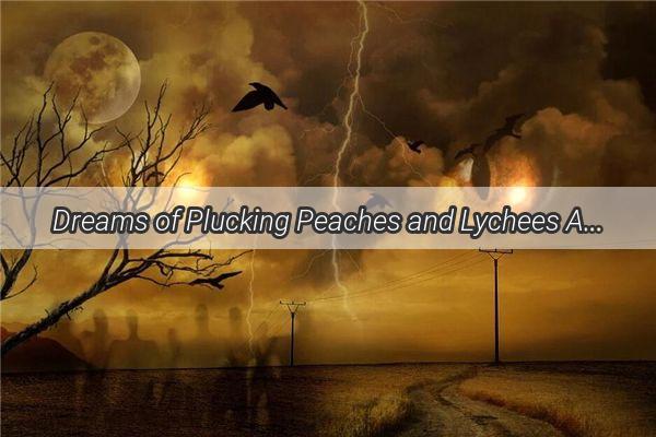 Dreams of Plucking Peaches and Lychees A Mystical Journey into the Fruitful Realm